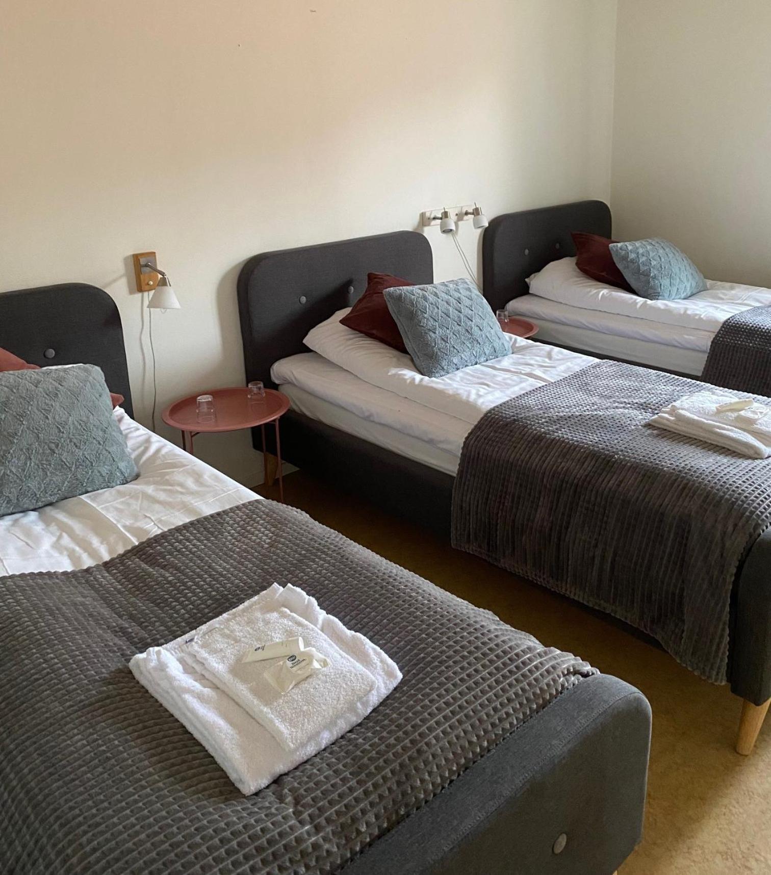 Snoea Bruk Hotell Och Konferens Dala-Jarna Eksteriør bilde